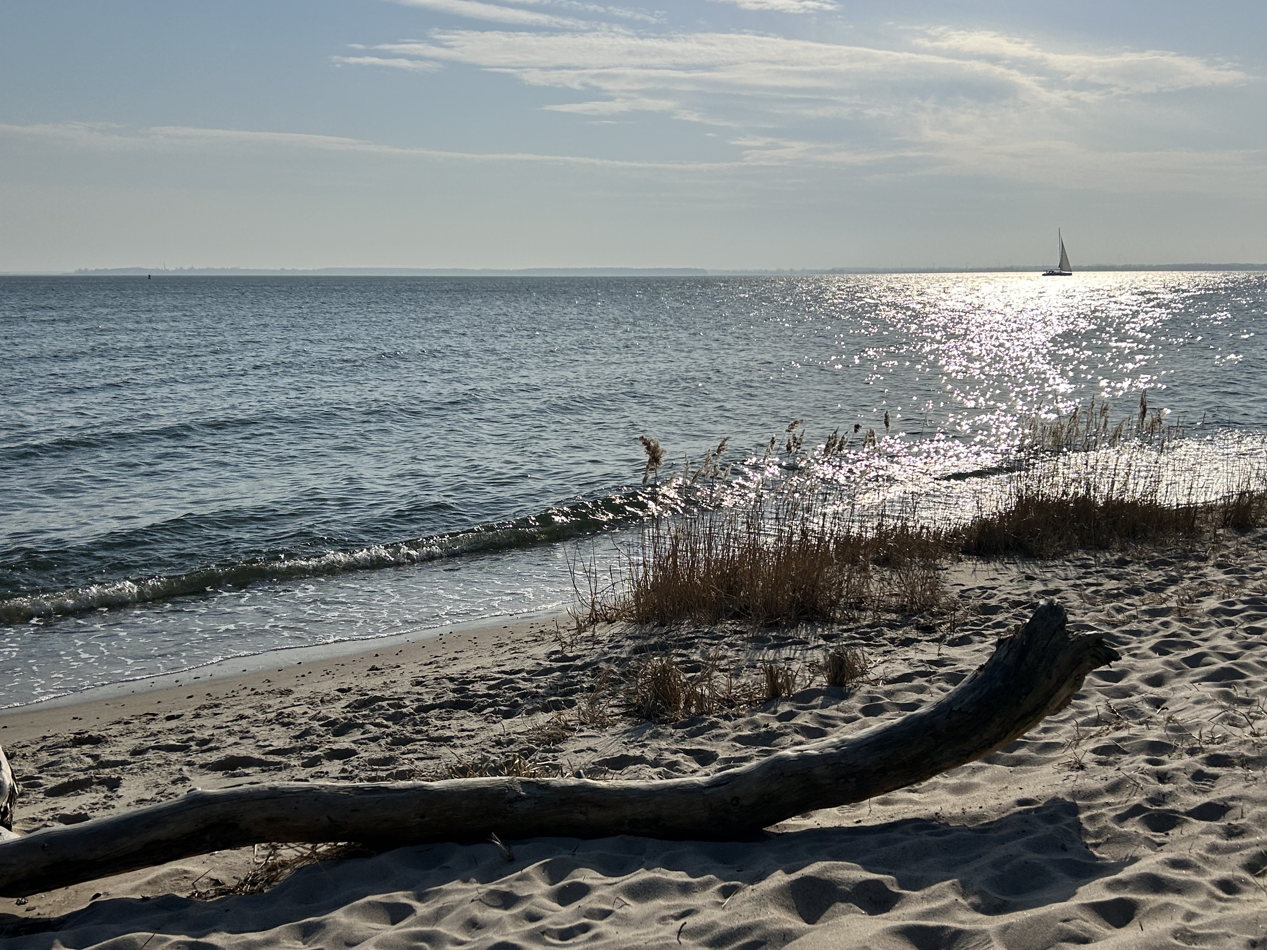Wassertemperatur an der Ostsee: Aktuelle Werte und ein Blick auf die langfristige Entwicklung