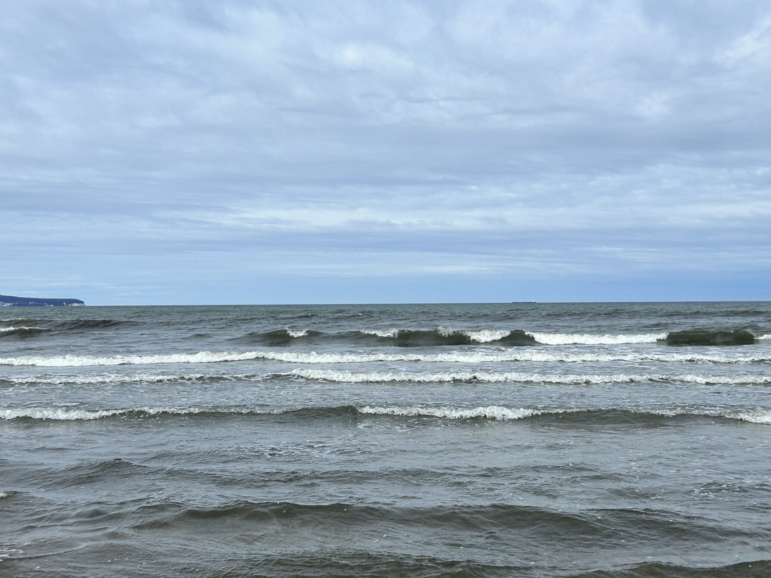Vibrionen-Panik: Warum die Ostsee nicht gefährlicher geworden ist