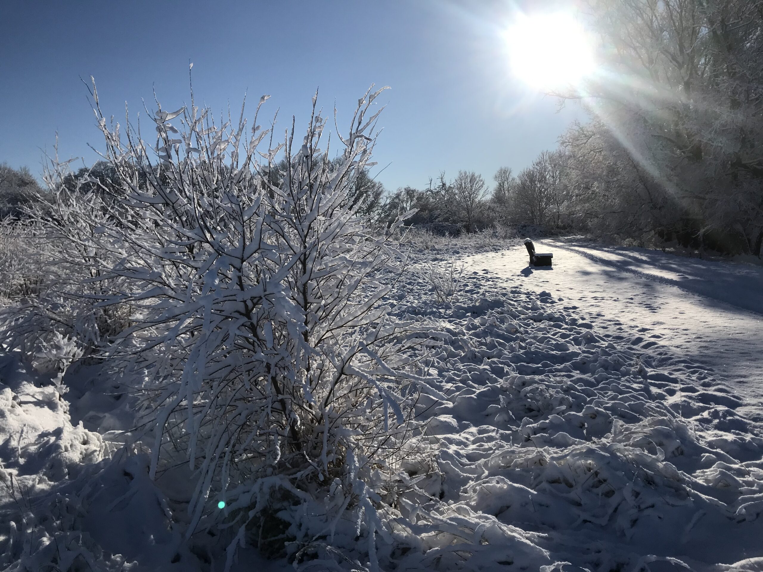 Achtung, jetzt wird es eisig! Wie sich der Winter an der Ostsee schon bald zeigt